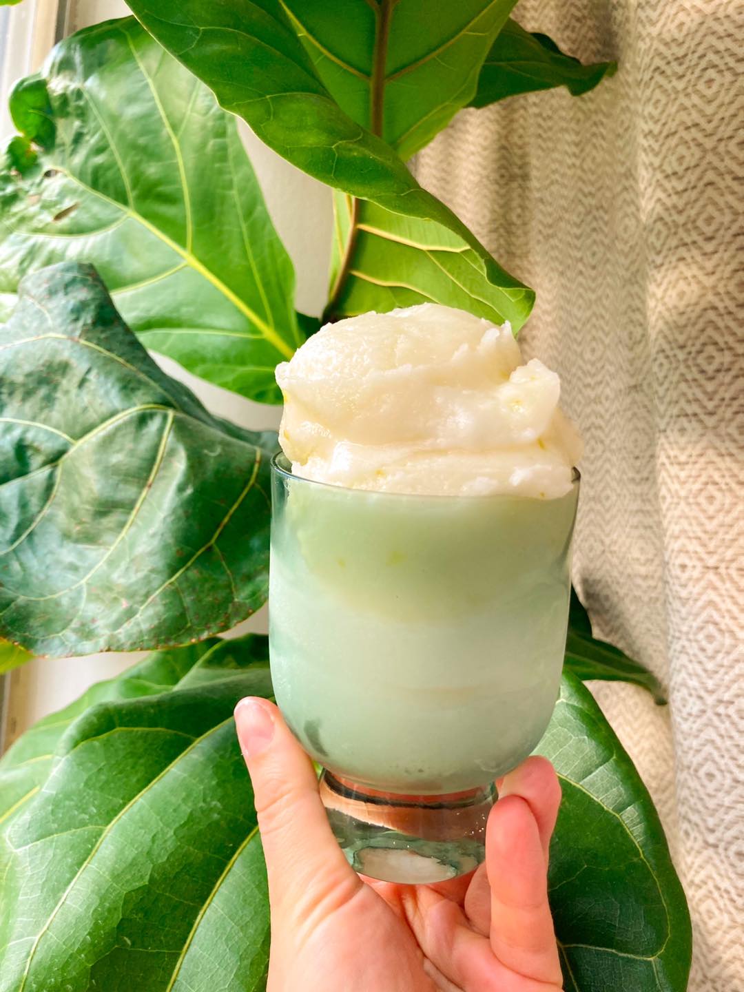Margarita Sorbet (dairy-free)
